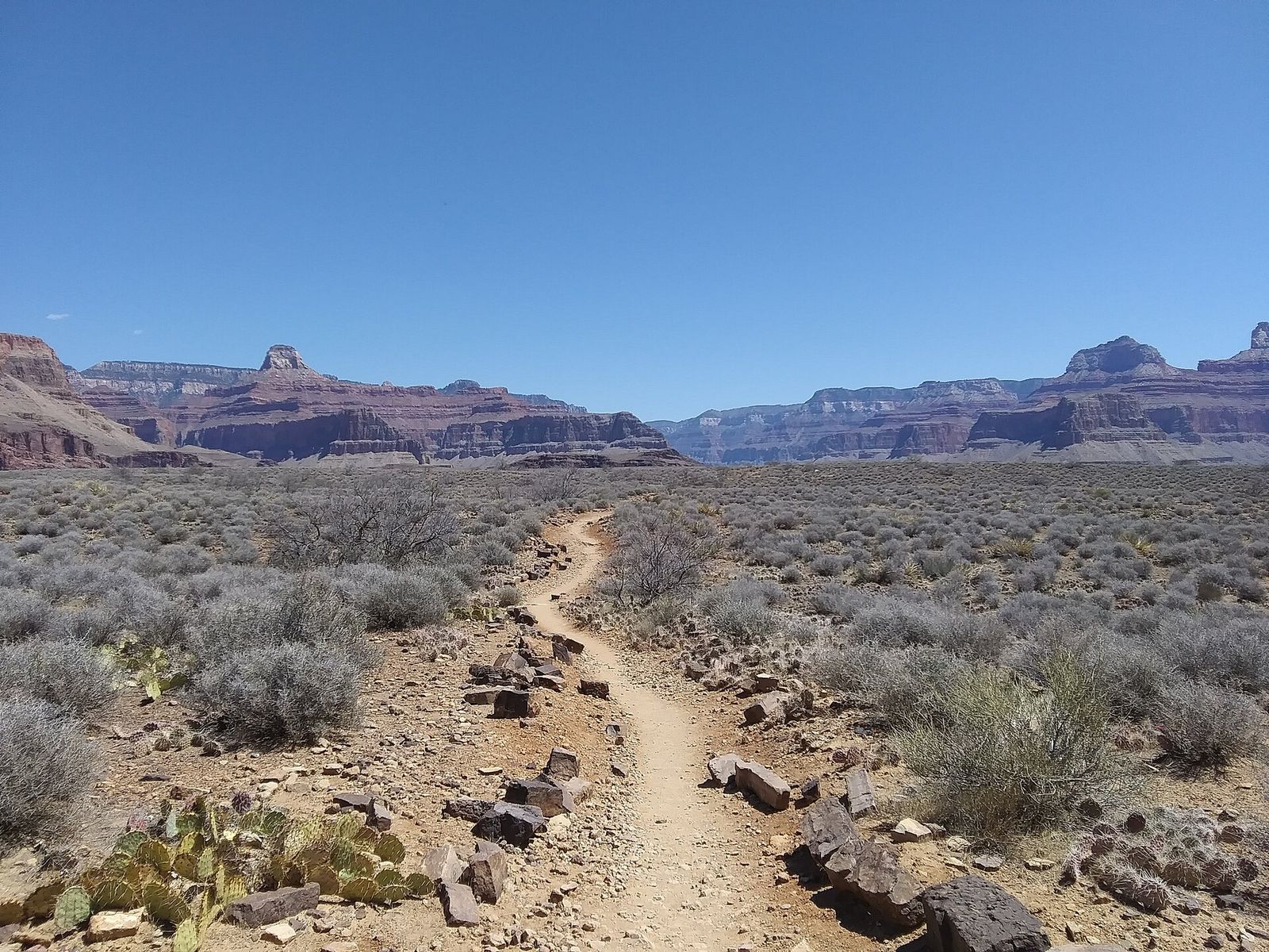 Plateau Point Trail Through the Inner Canyon A narrow dirt hiking trail winds through desert scrub toward towering red rock buttes deep inside Grand Canyon National Park.