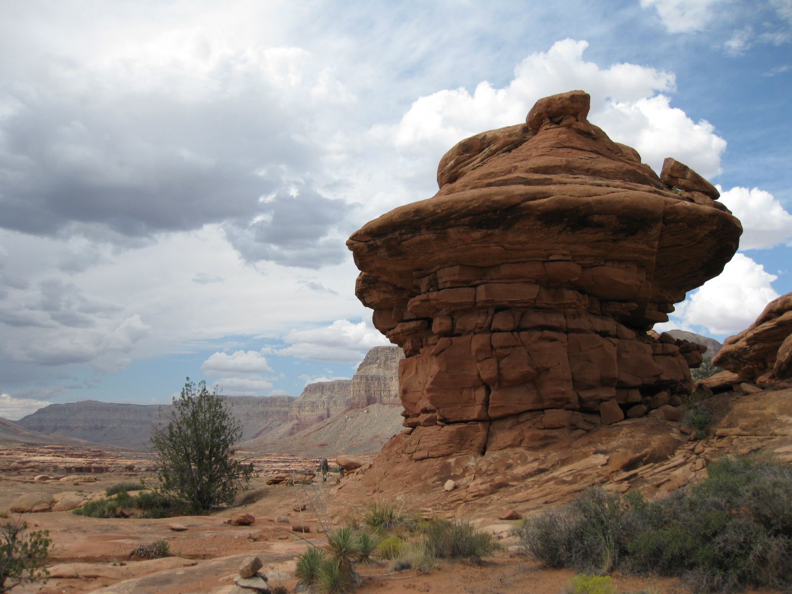 A striking sandstone hoodoo rock formation rises above the Kanab Creek Wilderness with layered canyon buttes behind it.