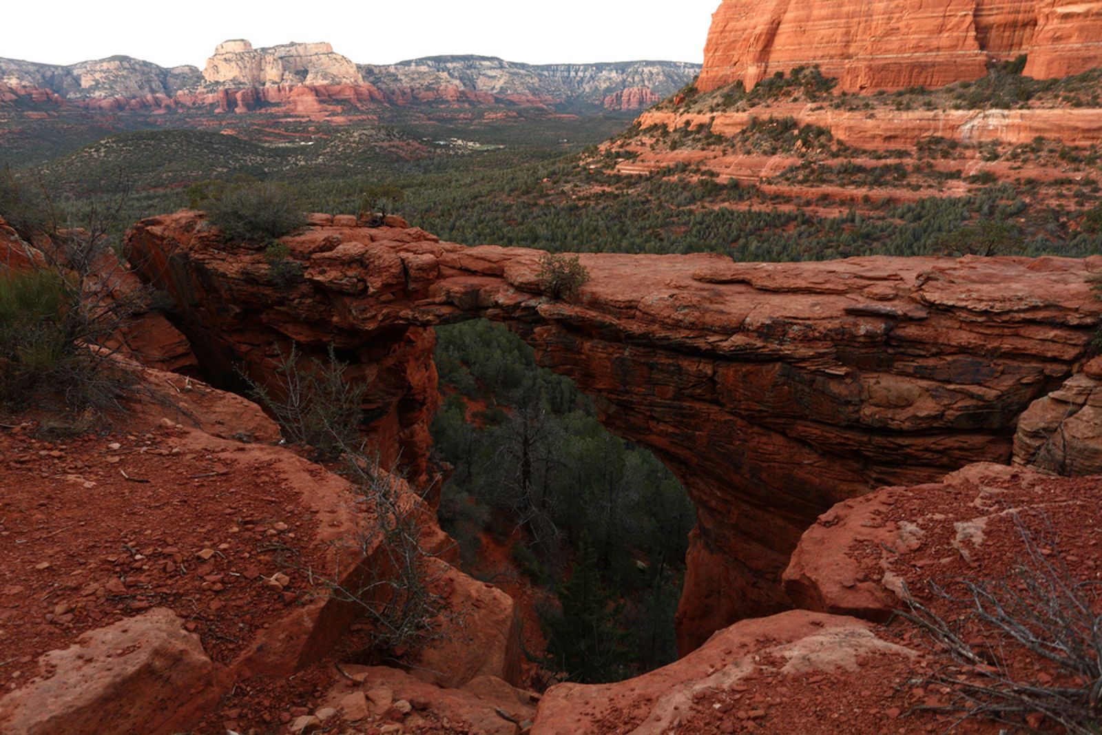 Devil's Bridge Natural Arch in Sedona, Arizona A sweeping view of Devil's Bridge natural sandstone arch overlooking Sedona's iconic red rock canyon landscape.