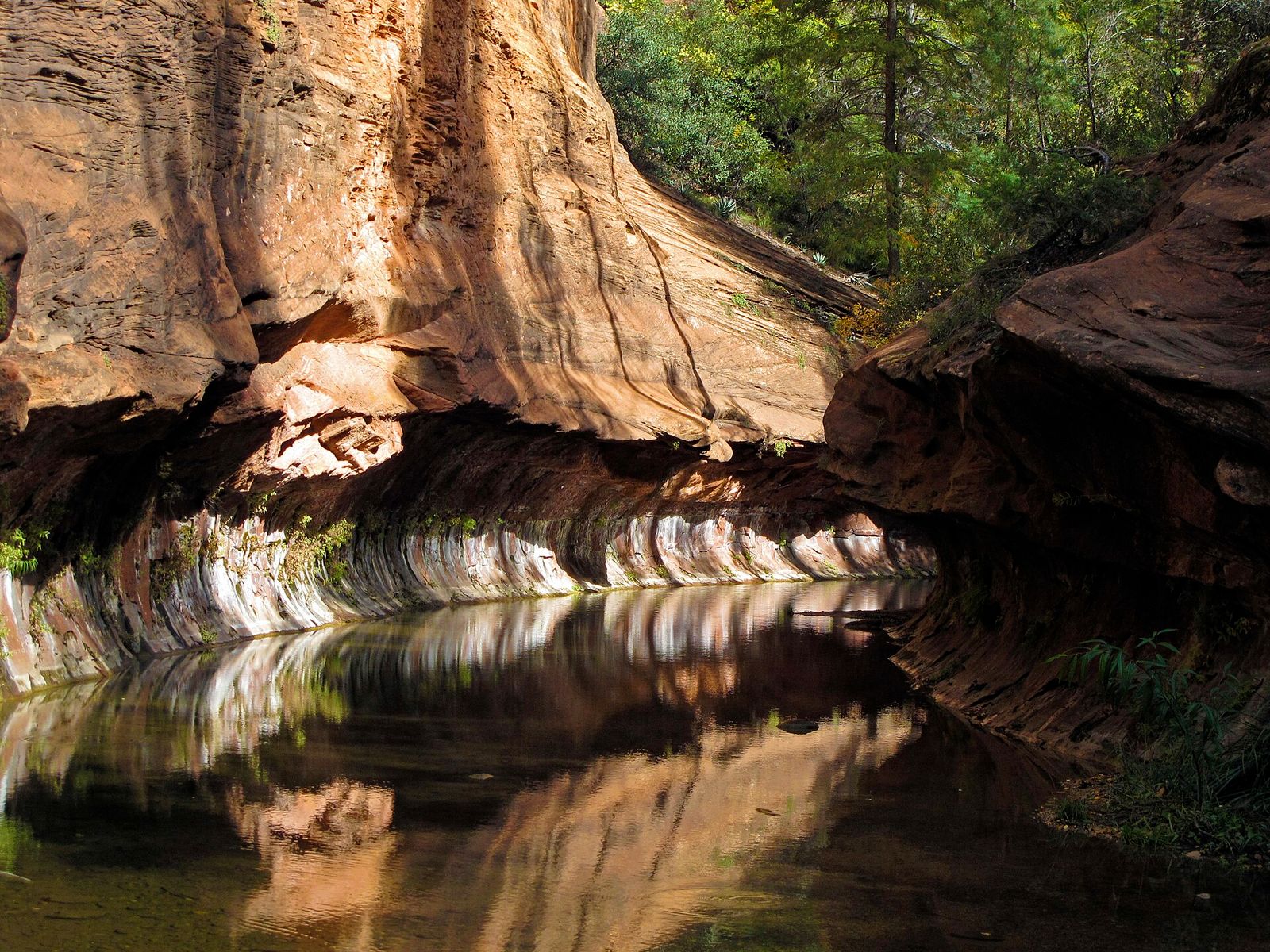 West Fork Oak Creek Canyon Slot Canyon Pool Smooth red sandstone walls curve above a still, reflective pool deep inside Oak Creek Canyon, Arizona.