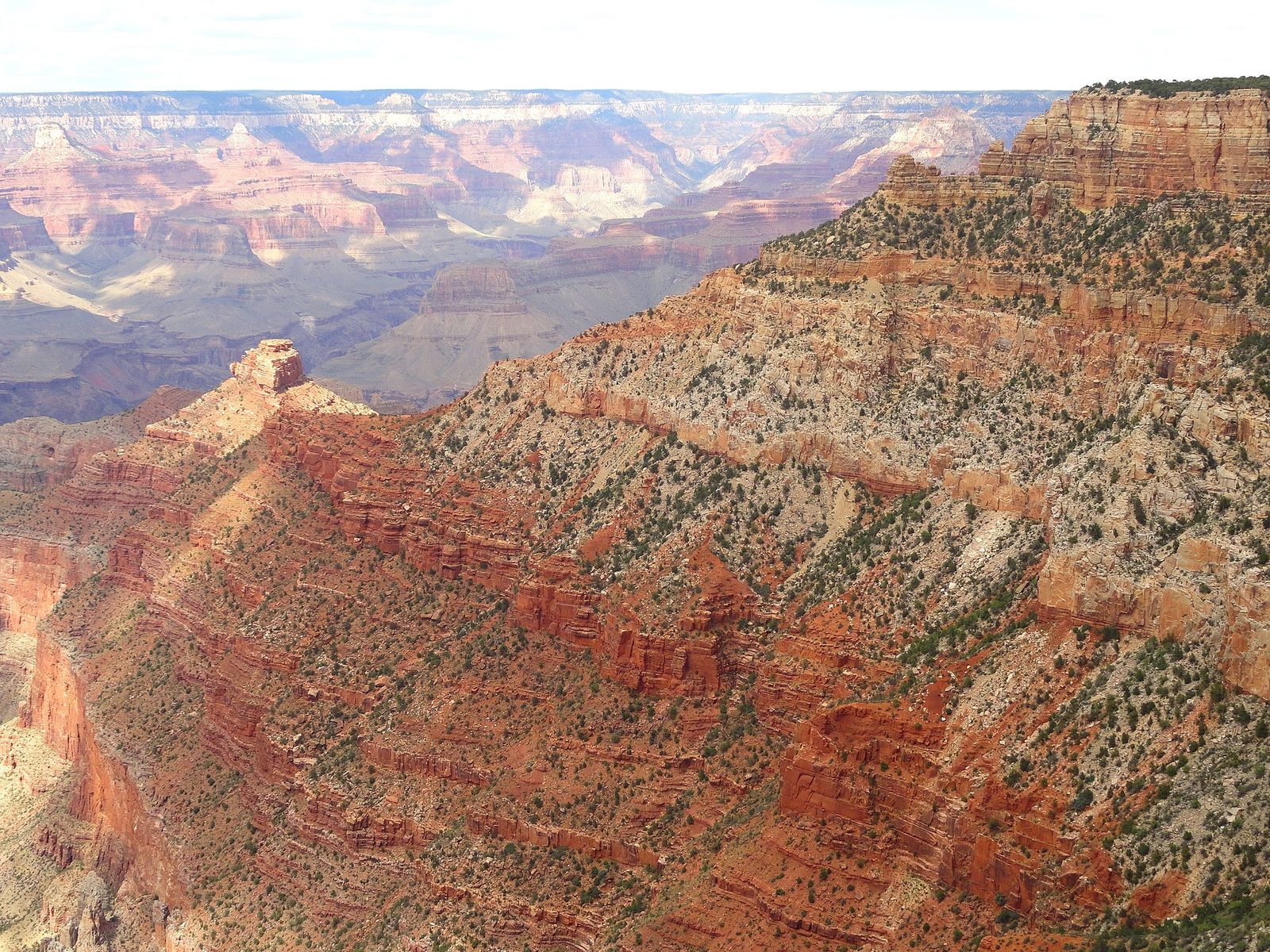 Sweeping panoramic view of layered red rock formations and canyon depths at Pipe Creek Vista, Grand Canyon National Park.
