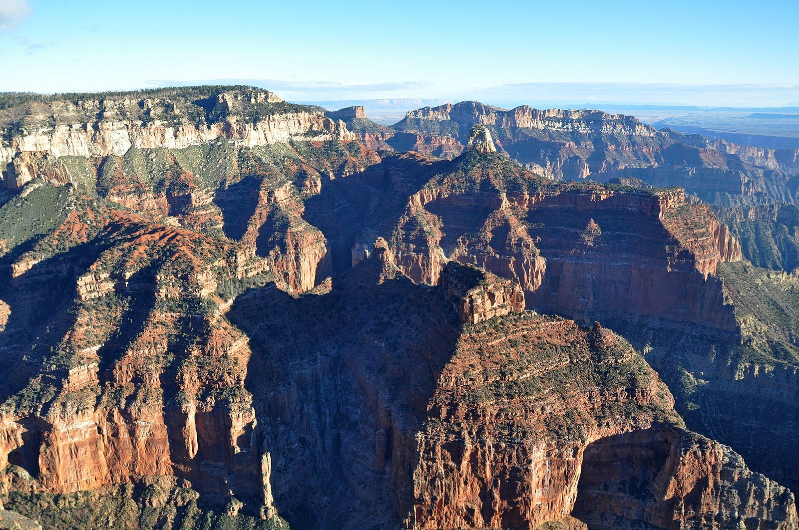 Aerial View of Grand Canyon North Rim Buttes A sweeping aerial view of Grand Canyon's North Rim reveals layered red rock buttes and forested plateaus under clear skies.