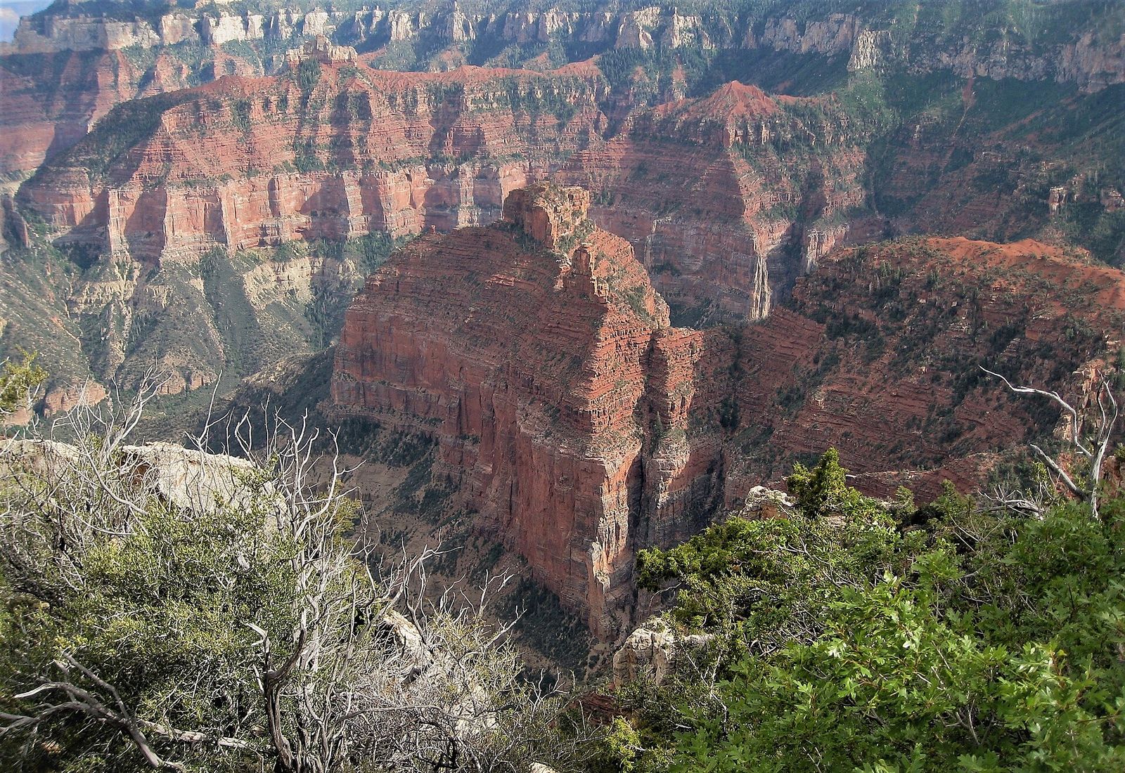 A massive red rock butte rises from the Grand Canyon's inner gorge viewed from the North Rim at Point Imperial.