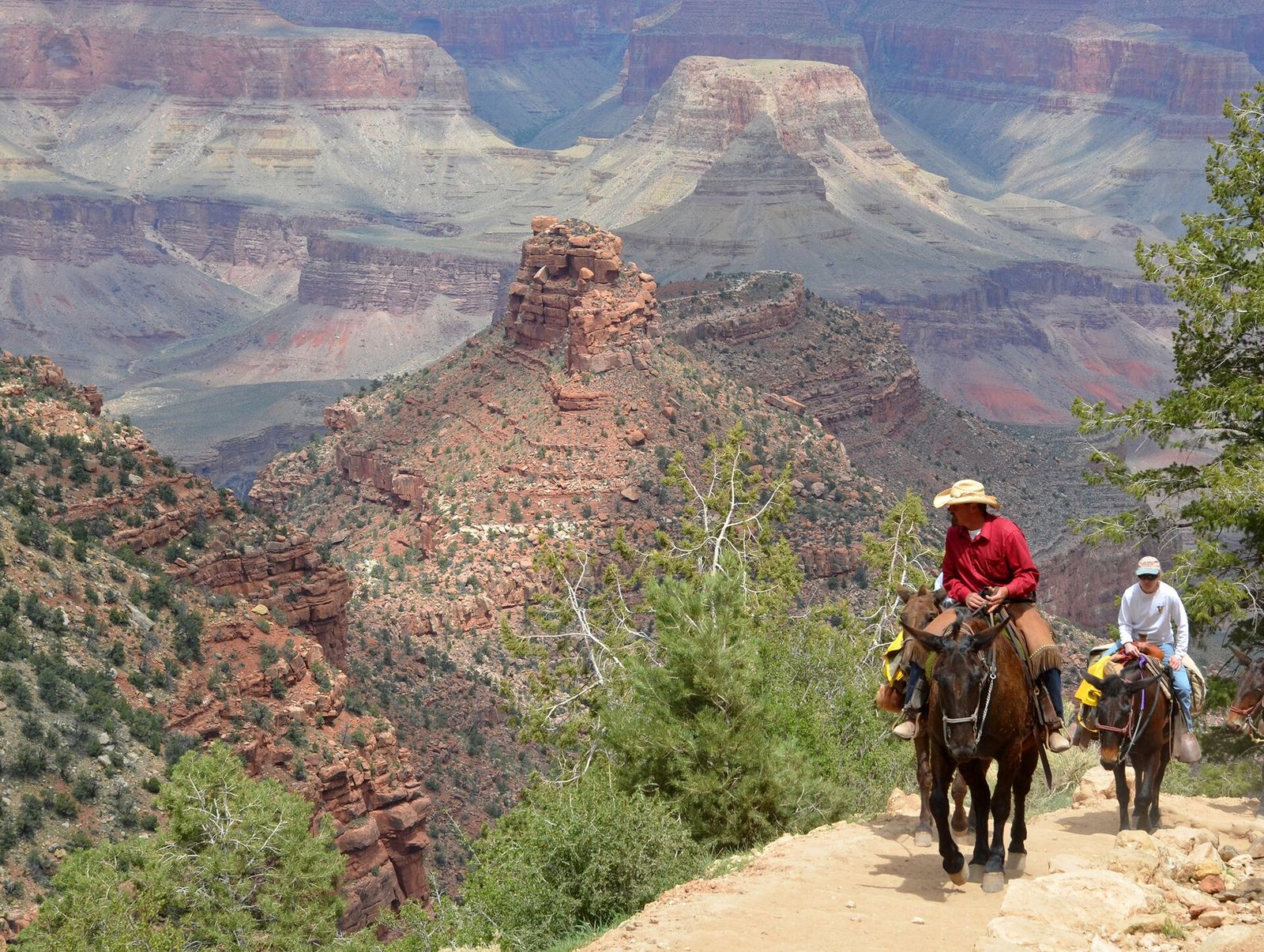 Mule Ride Down Bright Angel Trail, South Rim Two riders on mules descend the Bright Angel Trail with sweeping Grand Canyon South Rim views behind them.