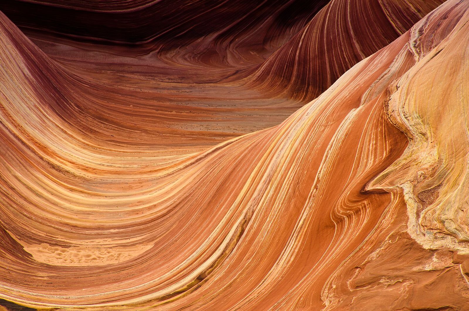 The Wave at Coyote Buttes North, Arizona Swirling layered sandstone formations at The Wave in Coyote Buttes North, Vermilion Cliffs Arizona.