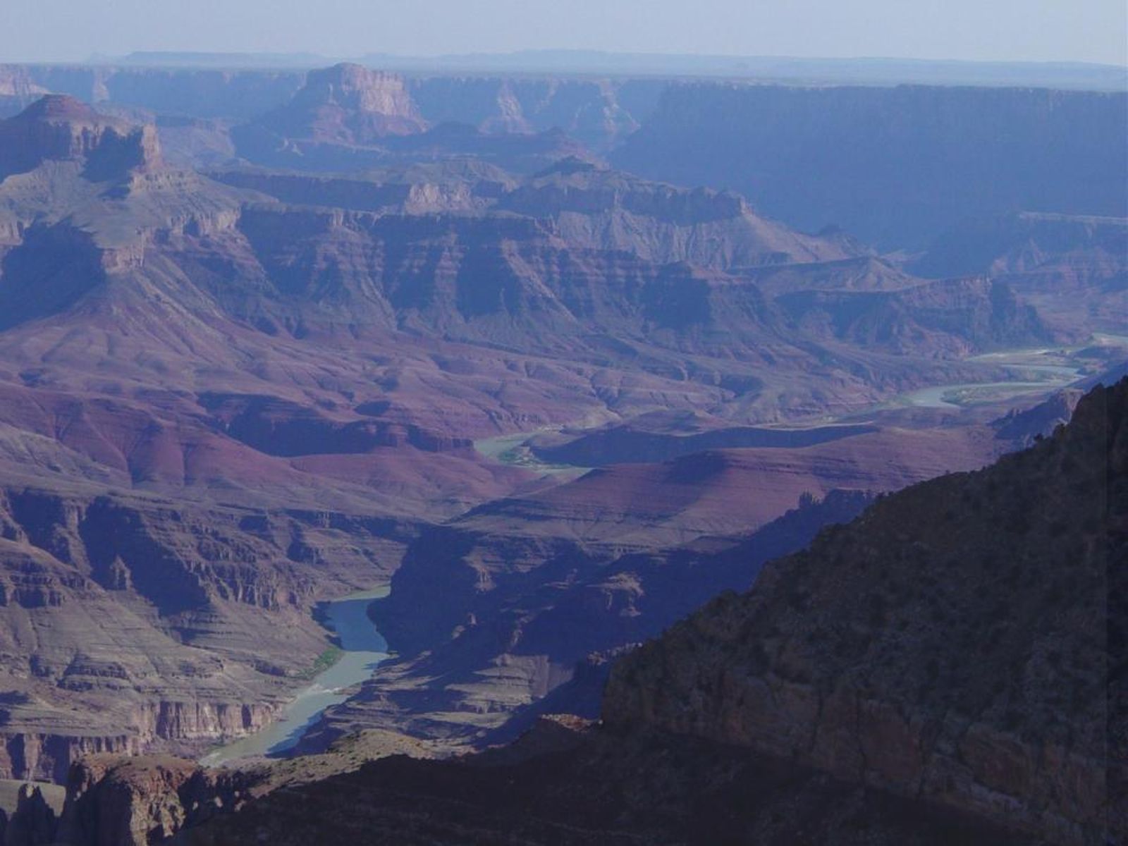 The Colorado River winds through the Grand Canyon's layered canyon walls as seen from Moran Point overlook.