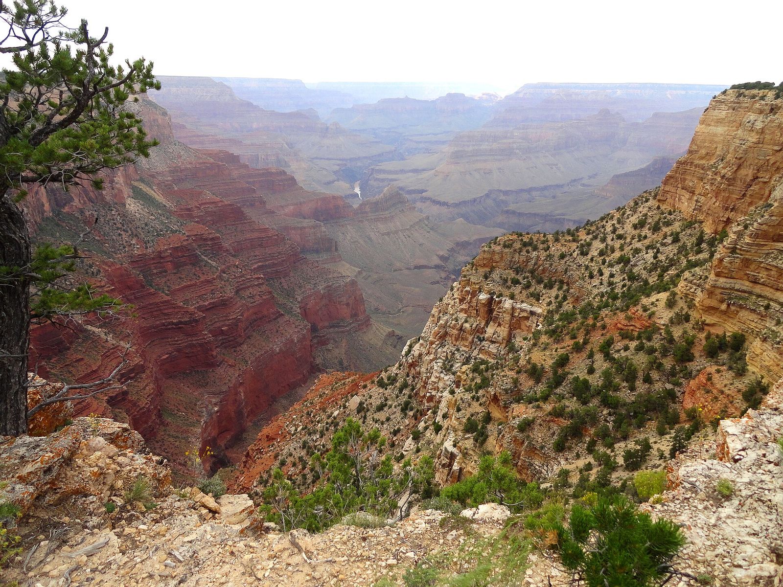 A sweeping view into the Grand Canyon from the Abyss Lookout on the South Rim, revealing deep red rock layers and the Colorado River far below.