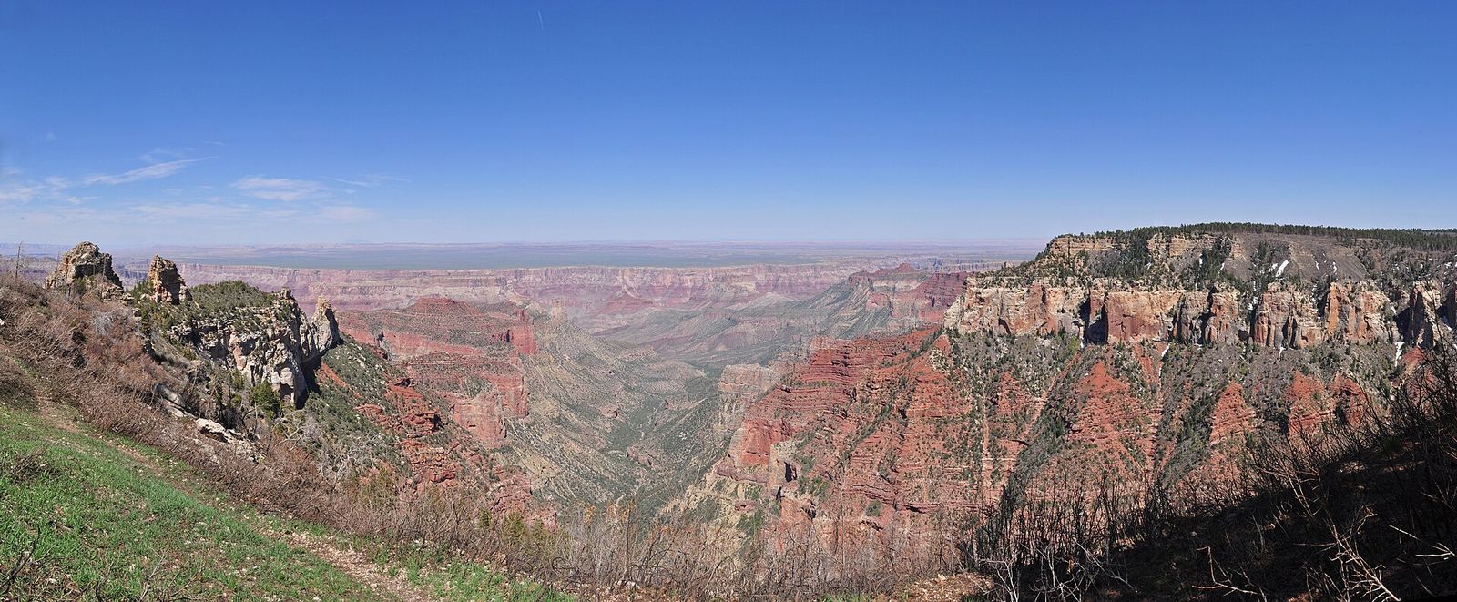 A sweeping panoramic view from Roosevelt Point on the North Rim of Grand Canyon National Park under clear blue skies.