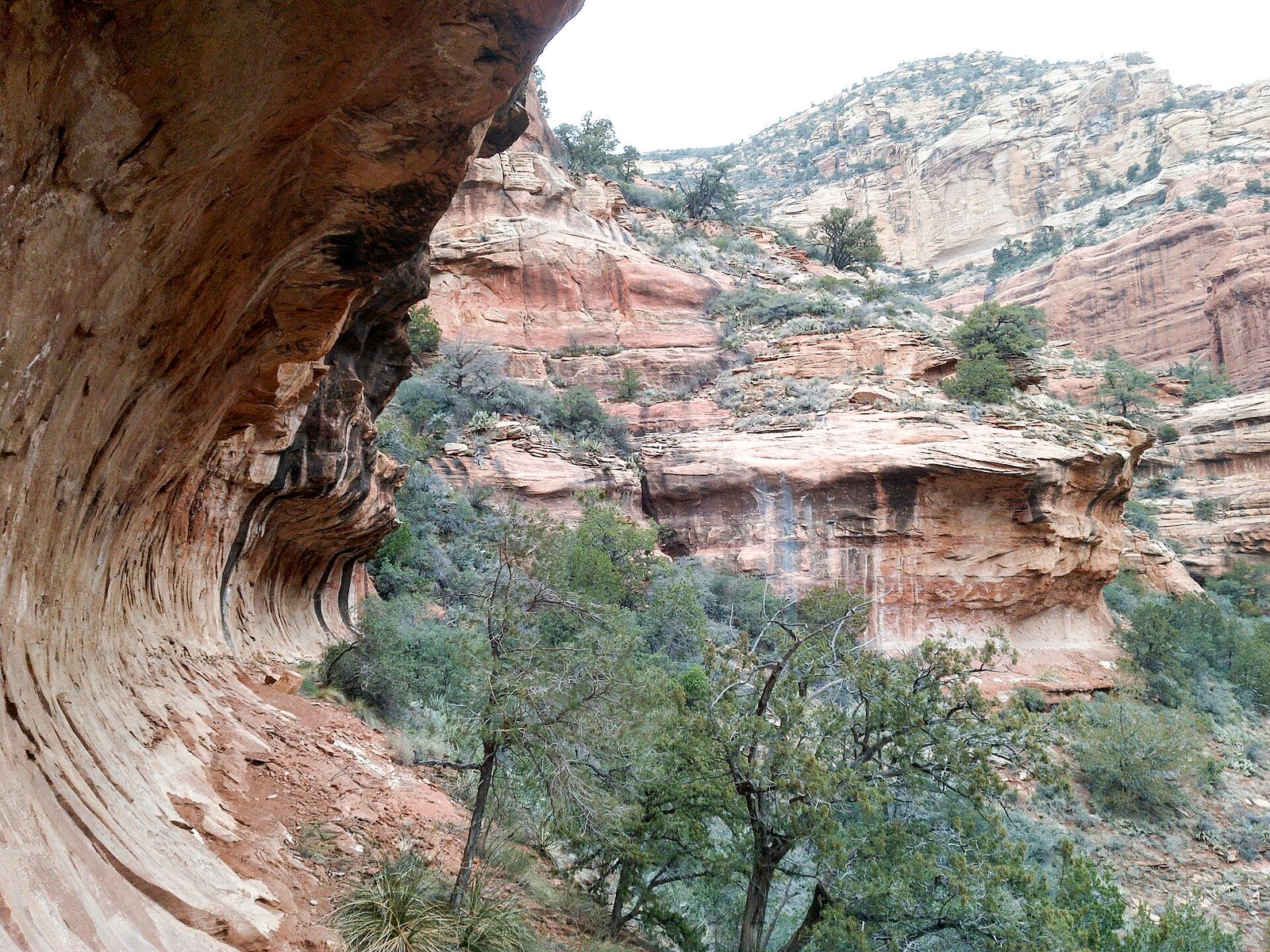 A sweeping sandstone alcove frames the Fay Canyon Trail in Sedona, Arizona, with layered red rock cliffs and desert trees beyond.