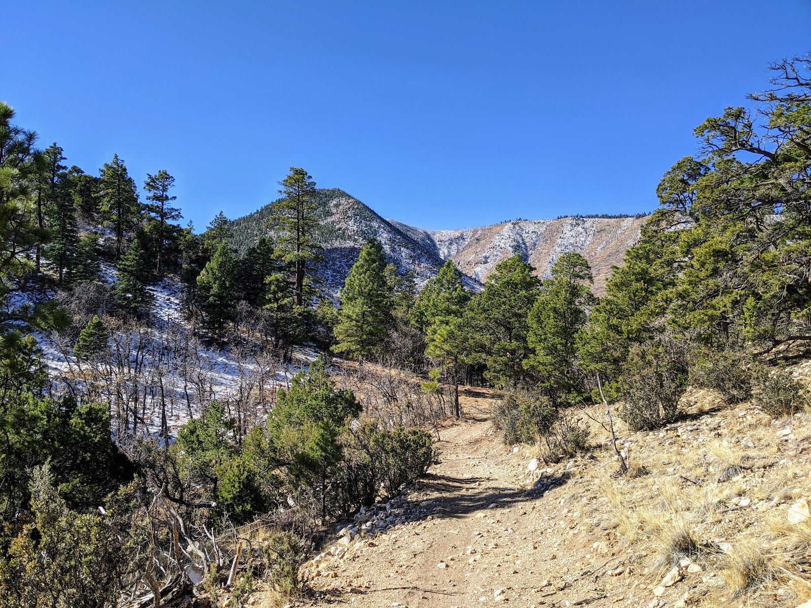 Sandy Seep Trailhead