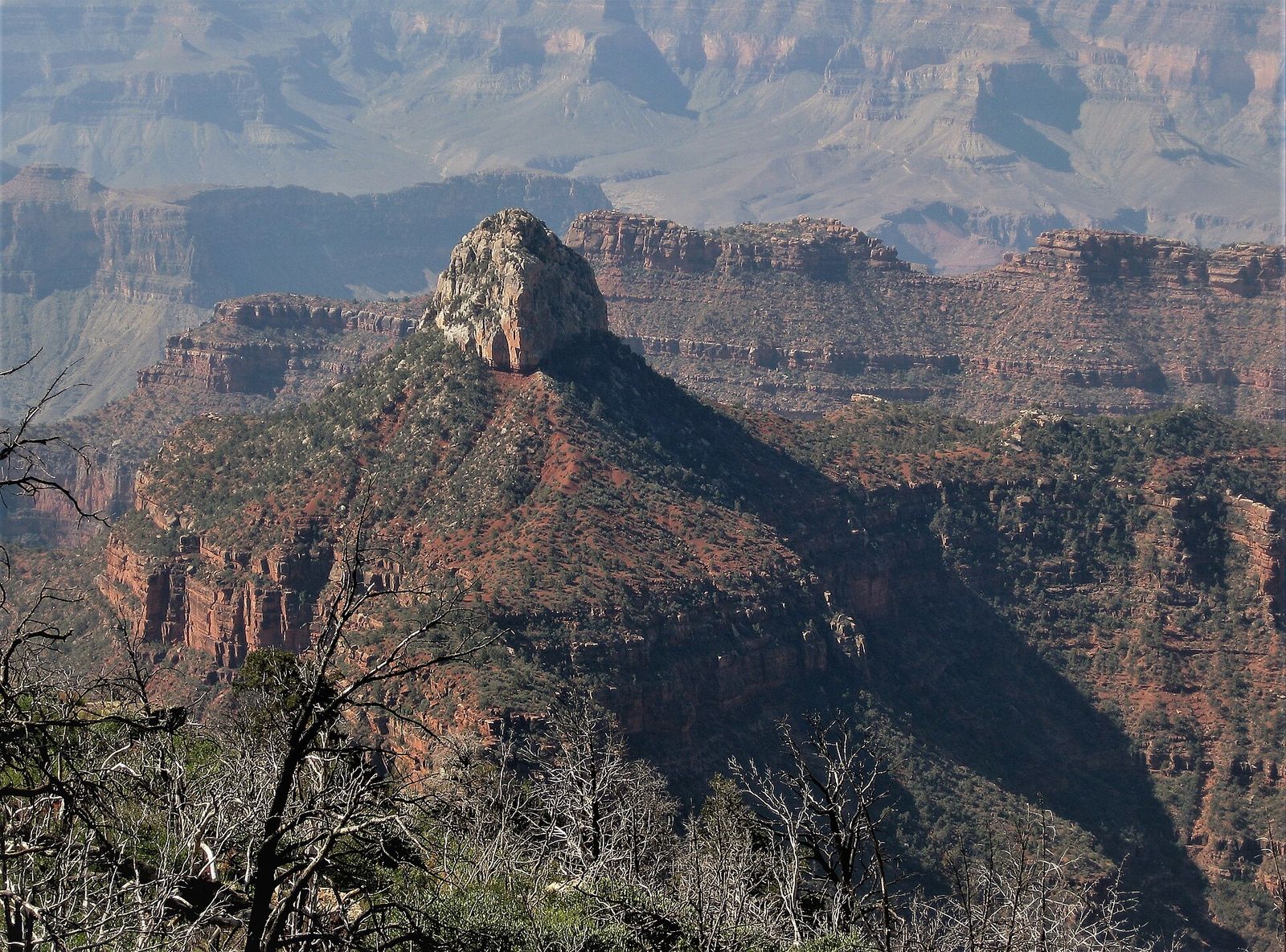 Manu Temple Butte from Widforss Point, North Rim A rocky butte rises above forested canyon ridges with hazy layered walls stretching deep into Grand Canyon National Park.