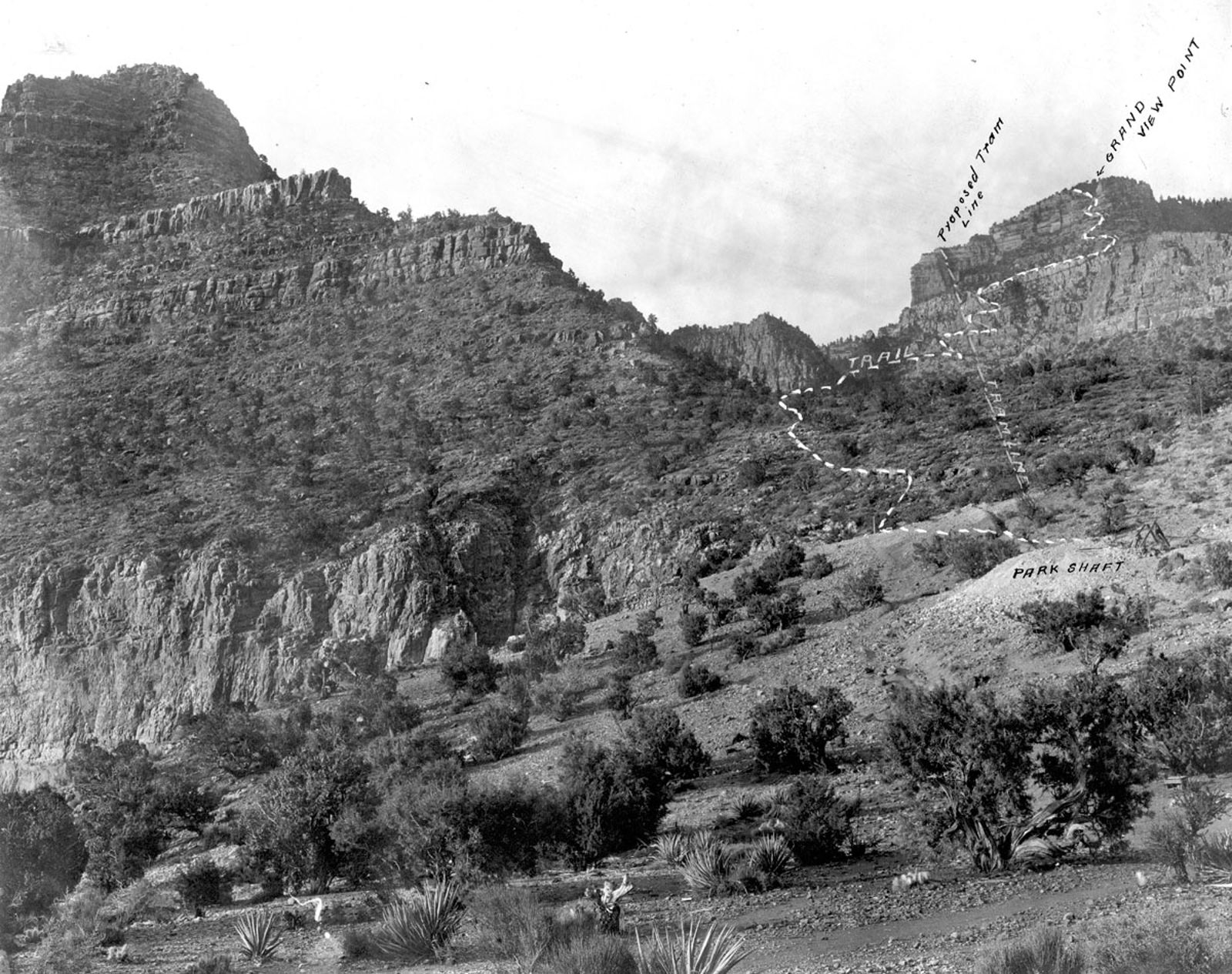 A historic black-and-white photo showing the annotated Grandview Trail and proposed tram line on the Grand Canyon South Rim.