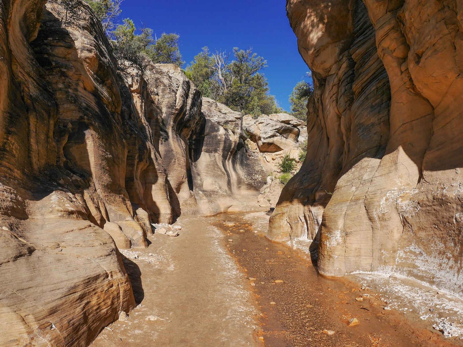 A shallow stream winds through the narrow sandstone walls of Willis Creek Slot Canyon under a vivid blue sky.