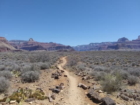 A narrow dirt hiking trail winds through desert scrub toward towering red rock buttes deep inside Grand Canyon National Park.