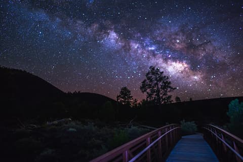 A wooden boardwalk trail leads beneath a brilliant Milky Way sky above silhouetted pines in northern Arizona.