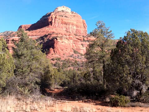 A massive red sandstone butte rises above juniper trees along Sedona's Boynton Canyon Trail in Arizona.