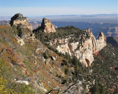 Layered limestone buttes and autumn foliage frame a sweeping North Rim Grand Canyon overlook toward distant Arizona plateaus.