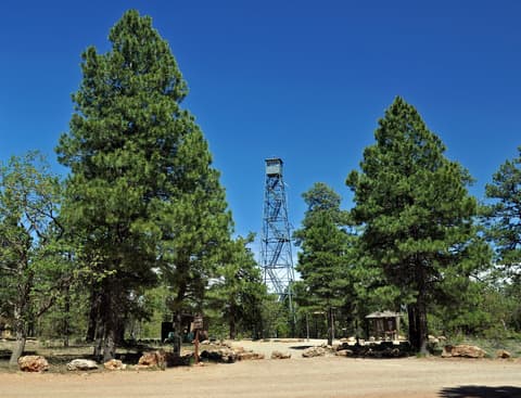 A historic fire lookout tower rises above ponderosa pines near Grandview Point on the Grand Canyon South Rim.