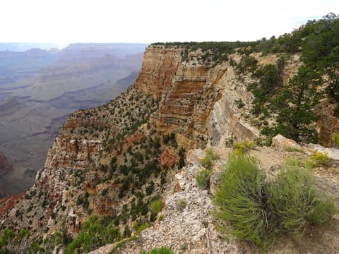 Dramatic South Rim cliff edge at The Abyss overlook reveals deep Grand Canyon layers and scattered juniper trees.