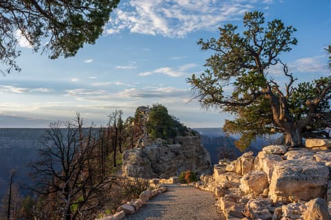 A paved rim trail winds toward Bright Angel Point overlook on the Grand Canyon's North Rim at golden hour.