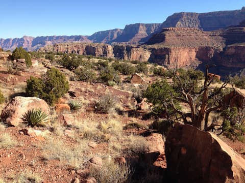 A sun-drenched inner canyon landscape near Horseshoe Mesa with red rocks, yucca, and layered canyon walls beyond.