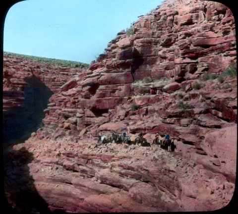 A historic mule train navigates a narrow Grand Canyon inner gorge trail beneath towering red sandstone cliffs.