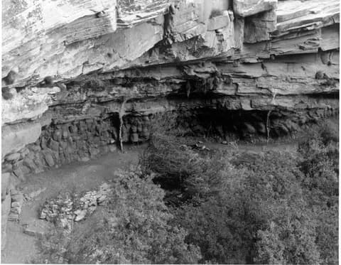 A large rock overhang shelters Dripping Springs along the Hermit Trail, with dense vegetation and old stonework at its base.