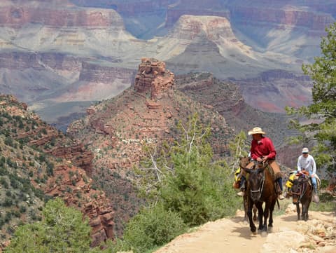 Two riders on mules descend the Bright Angel Trail with sweeping Grand Canyon South Rim views behind them.