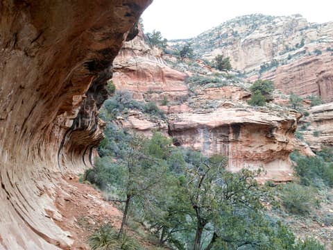 A sweeping sandstone alcove frames the Fay Canyon Trail in Sedona, Arizona, with layered red rock cliffs and desert trees beyond.