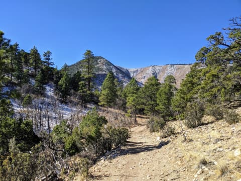 Sandy Seep Trailhead
