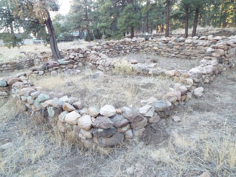 Ancient Elden Pueblo stone ruins with low rock walls surrounded by ponderosa pines near Flagstaff, Arizona.