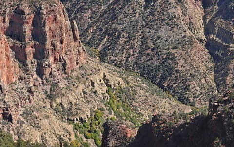 Layered red sandstone cliffs and desert scrub vegetation fill the inner Grand Canyon near Roaring Springs.