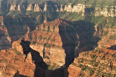 Layered red rock buttes and forested canyon walls seen from the Grand Canyon North Rim overlook.