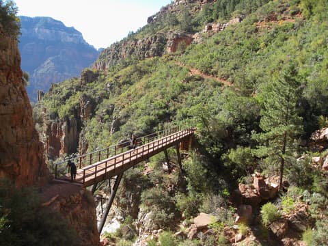 Hikers cross the Redwall Bridge on the North Kaibab Trail surrounded by canyon walls and pine trees.