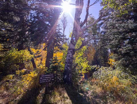 Ken Patrick Trail junction sign surrounded by golden autumn aspens in North Rim's Kaibab forest.