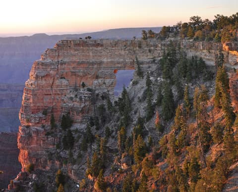 Angels Window natural rock arch on the North Rim of Grand Canyon glows warmly at sunrise with layered canyon walls behind.