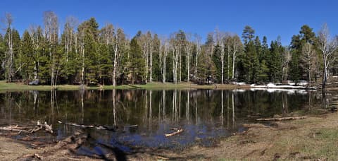 Greenland Lake on the North Rim reflects a forest of aspen and pine trees under a clear blue sky.