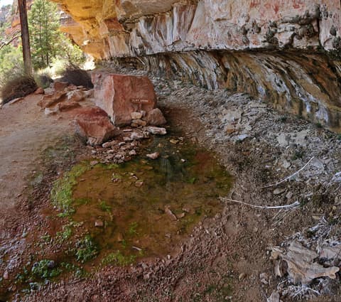 Cliff Spring seeps beneath a sandstone overhang on the North Rim, feeding a small moss-covered pool along the trail.